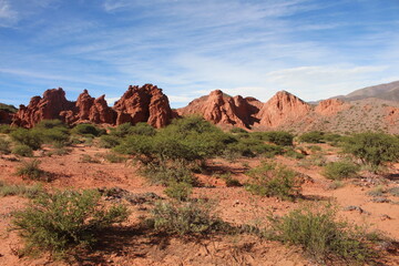 Desert landscape of northwestern Argentina