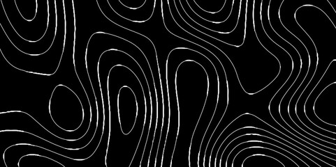  White line abstract topographic contours map background, topographic map and landscape terrain texture grid outline cartography landscape white wave paper curved reliefs abstract black background.