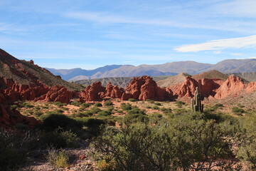 Desert landscape of northwestern Argentina