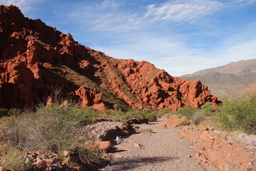 Desert landscape of northwestern Argentina