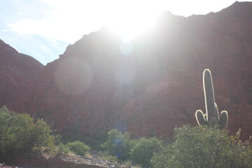 Desert landscape of northwestern Argentina