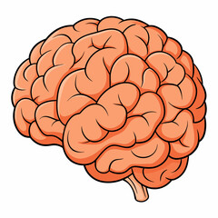 A cartoon human brain illustration with related keywords on white background