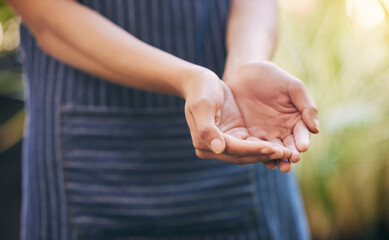 Hands, asking or palms of person for charity, florist or begging for help, support and compassion. Outdoor, nature and ready to receive donation for kindness, assistance and hope for small business
