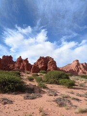 Desert landscape of northwestern Argentina