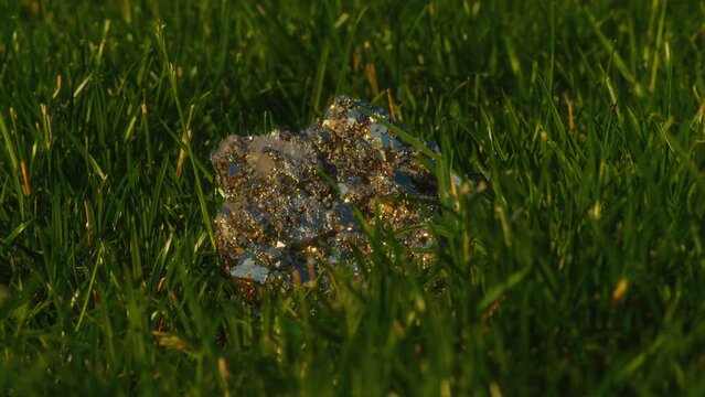 Close-up, Pyrite crystal glints in the setting sun in green grass