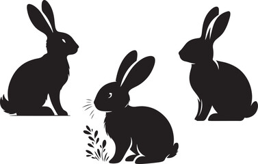 rabbit  silhouette white background nature 