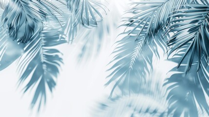 Tropical tranquility: palm leaves on a white fuzzy background