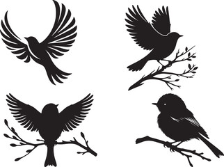  bird  silhouette white background  