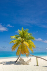 Tropical summer landscape. Paradise island beach background. Sunny idyllic beach swing hammock  on...