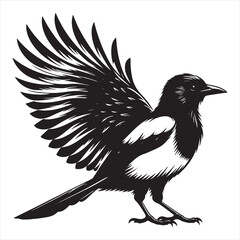 Magpie bird black & white silhouette Vector on white background