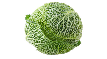 Fototapeta premium A fresh green savoy cabbage with crinkled leaves and patterns typical for this vegetable, isolated on a white background with visible textures and shadows.