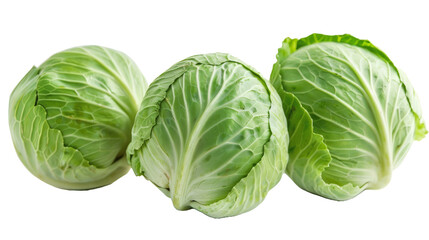 Fototapeta premium Three fresh green cabbages with tightly packed leaves arranged side by side against a white background, showcasing a healthy vegetable option.