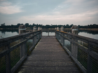 Obraz premium bridge over the lake