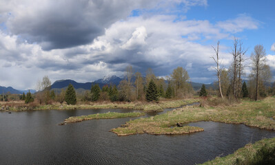 Cloudy and windy autumn day at the marshes