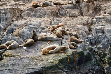 Beagle Channel, Ushuaia
