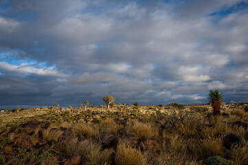 Obraz premium Africa, Namibia