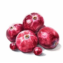 Obraz premium Ultra realistic watercolor style illustration of cranberries, high detailed, close up, isolated on white