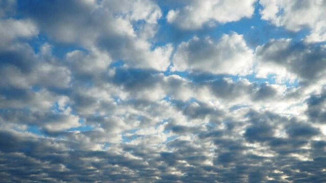 Altocumulus, middle-altitude cloud genus, stratocumuliform physical category, characterized by globular masses or rolls in layers or patches being larger and darker. Airmass instability. Time lapse.
