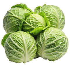 Obraz premium A cluster of fresh green cabbages, their vibrant leaves displaying intricate patterns of veins and texture. Transparent background