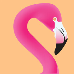 Pink flamingo vector illustration isolated on background.
