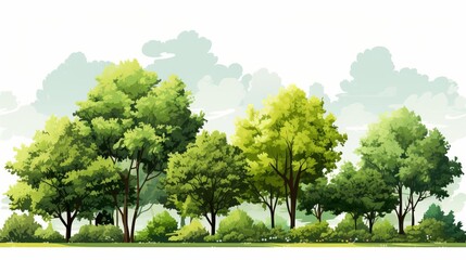 trees with lush green canopy, highlighting the dense foliage and natural beauty