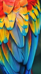 Fototapeta premium Stunning macro image highlighting the richly colored and detailed plumage of a parrot