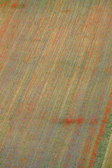  summer flowering in Castelluccio di Norcia 