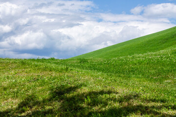 Fototapeta premium alpine meadow of alto adige