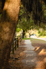 Naklejka premium FOLLOW YOUR PATH inspirational phrase written on asphalt path through trees