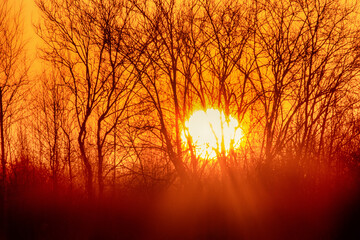 Spring landscape. Sunrise of the solar disk over the northern icy river, on the bare winter...