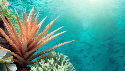 Tropical underwater seaweeds flora, undersea exotic plant, summer nature