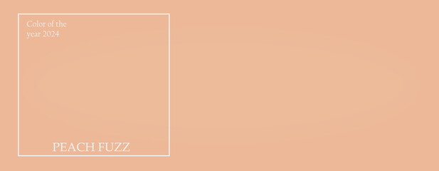 Color swatch banner with color of the year 2024, Peach Fuzz. Current color trend palette. Top view, flat lay.