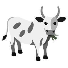 Mature female cattle are called cows and mature male cattle are bulls. Young female cattle are called heifers, young male cattle are oxen or bullocks, and ...
‎Cattle in religion and mythology · ‎Dair