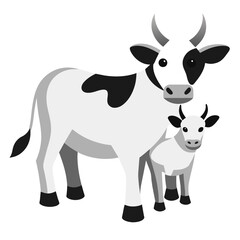 Fototapeta premium Mature female cattle are called cows and mature male cattle are bulls. Young female cattle are called heifers, young male cattle are oxen or bullocks, and ... ‎Cattle in religion and mythology · ‎Dair