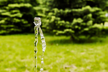 Water splash of park fountain closeup on green grass background