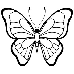 Black and white butterfly drawing on white background, pollinator insect