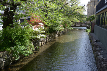 高瀬川　京都市中京区