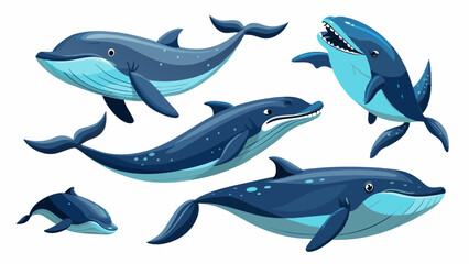 Whale Vector Set, In Different Poses,  Collection Of Whale , Water Animal Vector 
