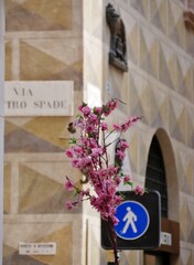 Gasse in Verona in Italien