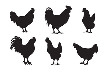 Set of vector rooster and chicken black silhouettes isolated on white background. Domestic animals hen vector illustration. hen art work.