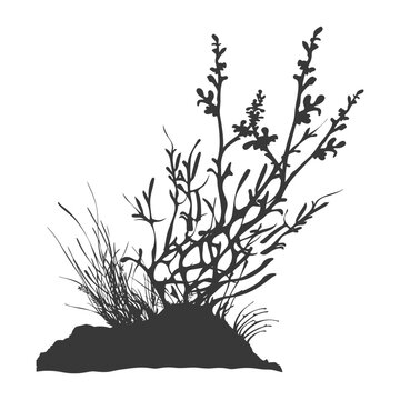 recommend clip art: Silhouette seaweed plant black color only