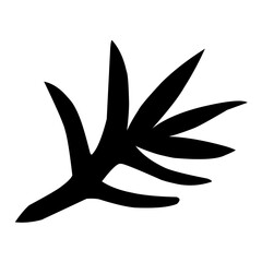 tropical leaf silhouette