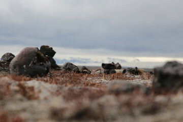 Island, Landschaftsaufnahme in der nähe der Ringstraße