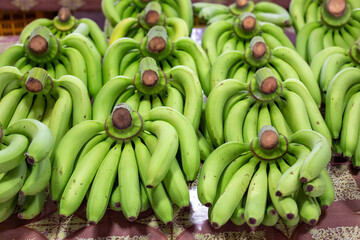 Bunches of green bananas lie in rows on the counter of an Asian market