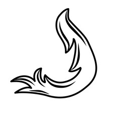 vintage baroque ornament 