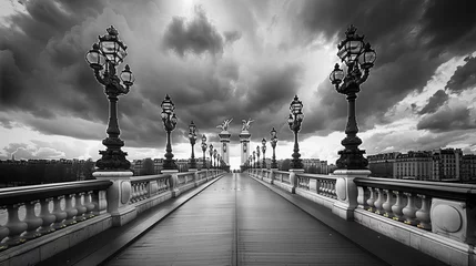 Pont Alexandre III Bridge in Paris