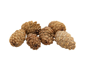 Collection of brown dry cedar cones of small size without background, lying motionless in a pile. Textured cones. Horizontal. For banner.