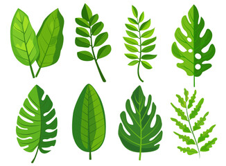 features eight different types of green leaves, each with distinct shapes and vein patterns. diverse foliage showcases various botanical designs, ideal for nature-related graphics and design projects