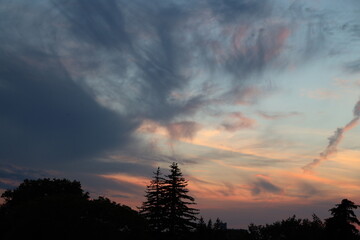 clouds above pines painted in pastels pink blue orange yellow white