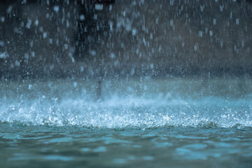 Heavy raindrops splashing on the ground